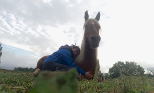 Photo de galerie - Dressage