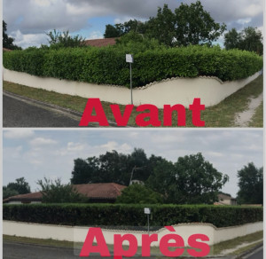 Photo de galerie - Un exemple de mon travail 