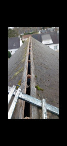 Photo de galerie - Couverture - Toiture