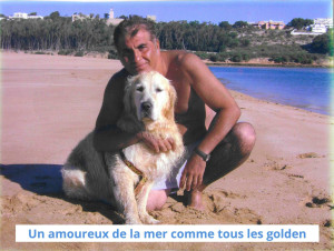 Photo de galerie - Il s'appelais Greg, un Ange parmi les Anges désormais.
Si vous avez un Golden, je peux vous donner d'excellents conseils pour qu'il reste avec vous le plus longtemps possible, le mien est partis il avais 15ans et 4mois.
