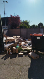 Photo de galerie - Évacuation déchets - Gravats