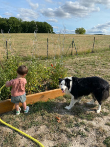 Photo de galerie - Rio