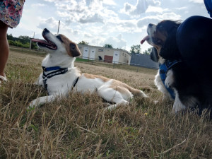 Photo de galerie - En balade entre copains