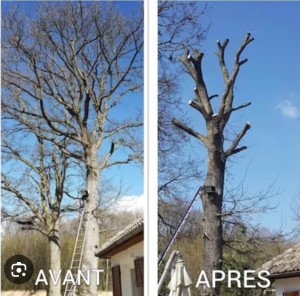 Photo de galerie - Gros intervention 