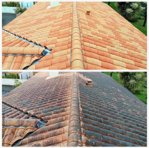 Photo de galerie - Nettoyage toiture (avant après)