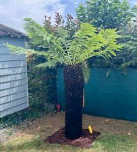 Photo de galerie - Paysagiste - Aménagement du jardin