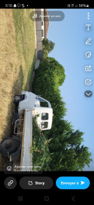 Photo de galerie - Surbaissage élagage de haie