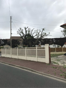 Photo de galerie - Présentation d’un joli élagage