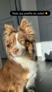 Photo de galerie - Garde Nala 