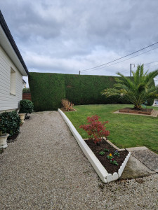 Photo de galerie - Taille de haie