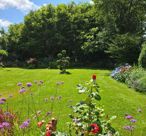 Photo de galerie - Tonte et suivi de massifs 