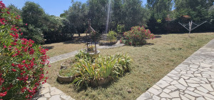 Photo de galerie - Tonte de pelouse - Débroussaillage