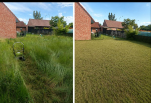 Photo de galerie - Débroussaillage et  tonte d'une pelouse très haute +-80cms par endroit à Saint Saulve .