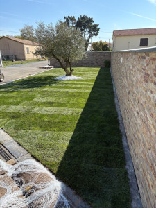 Photo de galerie - Dépose rouleau de gazon