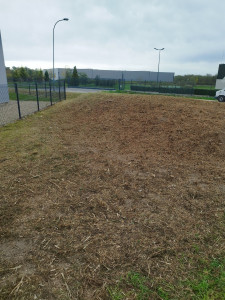 Photo de galerie - Chantier tonte et débroussaillage (après)