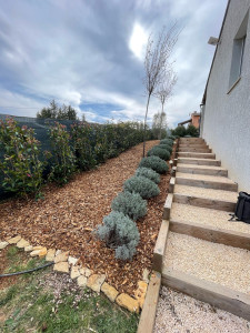 Photo de galerie - Création d’un massif avec plantation de haie 