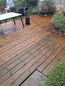 Photo de galerie - Après Nettoyage sans produit chimique 