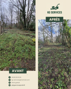 Photo de galerie - Débroussaillage d'un terrain 