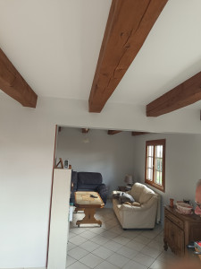 Photo de galerie - Peinture - Tapisserie