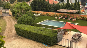 Photo de galerie - Taille de haies et d'arbustes