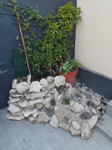 Photo de galerie - Mon petit  coin  terrasse 