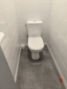 Photo de galerie - Changement d un wc 