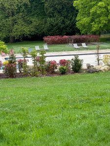Photo de galerie - Paysagiste - Aménagement du jardin