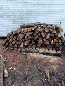 Photo de galerie - Vente de bois sec bon à brûler 
sur commande si plus de stocks 
