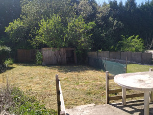 Photo de galerie - Terrain refait au propre nettoyer débroussailler   et tondu pour finir propre 