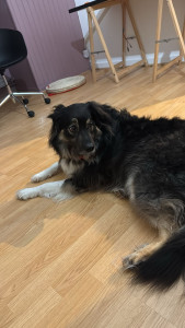 Photo de galerie - Coco 