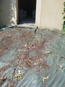 Photo de galerie - Désherbage , débroussaillage des herbes poussées au dessus de la bâche 