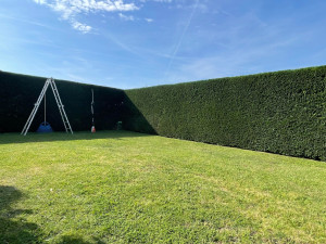 Photo de galerie - Jardinier