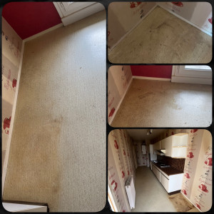 Photo de galerie - Ménage