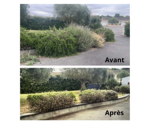 Photo de galerie - Jardinier