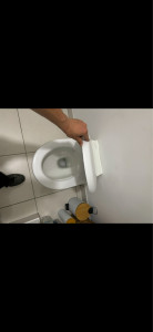 Photo de galerie - Pose d’un toilette