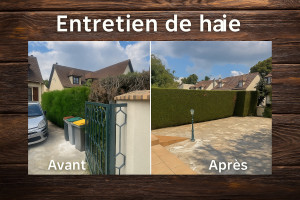 Photo de galerie - Une taille au laser ?