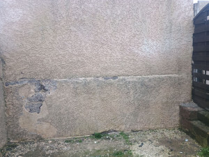 Photo de galerie - Photo après le nettoyage. ✨