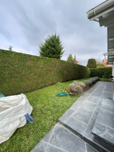 Photo de galerie - Paysagiste - Aménagement du jardin