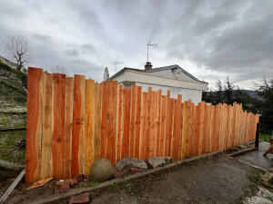 Photo de galerie - Palissade Douglas 