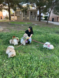 Photo de galerie - 5 Splitz 