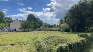 Photo de galerie - Tonte de pelouse - Débroussaillage