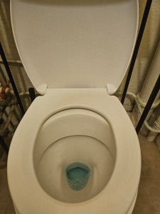 Photo de galerie - Laver .. désinfectant et nettoyer les toilettes 