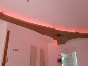 Photo de galerie - Tour Eiffel avec le placo 