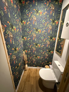 Photo de galerie - Aménagement espace WC - cloisons - enduits - ponçage - peintures - plinthes - wc - évacuation - pose miroir - pose papier peint  