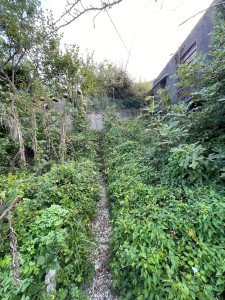 Photo de galerie - Jardinier