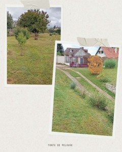 Photo de galerie - Tonte de pelouse - Débroussaillage