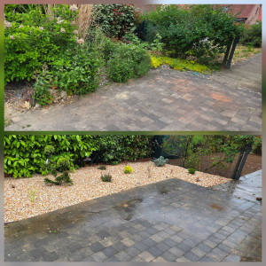 Photo de galerie - La création d'un nouveau massif est envisagée, l'ancien présentant des signes d'envahissement et de désorganisation.