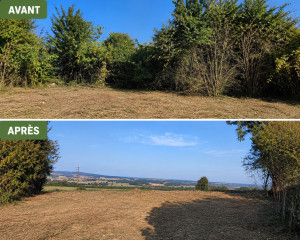 Photo de galerie - Débroussaillage complet