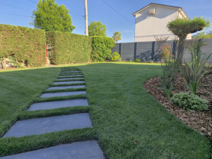 Photo de galerie - Création et entretien des espaces verts de qualité