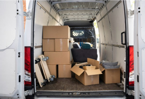 Photo de galerie - Travail organisé 